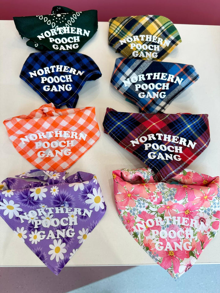 Northern Pooch Gang Dog Bandana